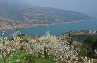 mobile123365sb_office365输入账号_365体育欧洲版本巫山：长江三峡春来早